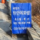 바닷가 하얀목화밭 이미지