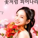 제나셀 이미지
