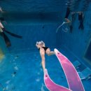 고양체육관 농구장2 | 일산 프리다이빙 어디서 배울까? 고양체육관 잠수풀 강습 후기 가격