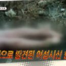 인제10 이미지