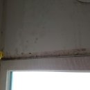 코사마트주공점 | 베란다칠(바이오세라믹) 월성주공4단지 후기