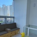 레스트윗 이미지