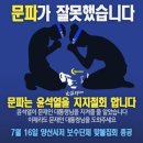 문프 지키기위해 윤찍자던 (자칭) 문파 근황 이미지