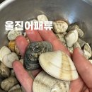 울진어패류 | 국산백합조개 캠핑조개구이 제철 해산물 밀들조개 울진어패류