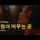 바람이 머무는 곳 이미지