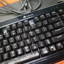 수원-0056 이미지