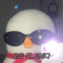 살롱드온리 | W24. 갑작스러운 본식 DVD 🎥 변경! “페이퍼백 필름” 계약 후기