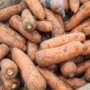 농협하나로마트 용호점 이미지