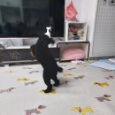 땡글이네 이미지