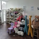 인화공원 화장실(금곡) 3 | 동탄 정원 셀프사진관에서 즐긴 좌충우돌 셀프 촬영기 동탄호수공원점 내돈내산