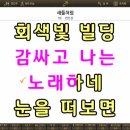 MR - 새들처럼/변진섭 이미지