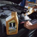 골드모터스 이미지