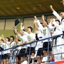 비상태권도 이미지