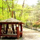 만수산자연휴양림 이미지