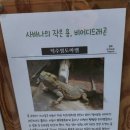 영암곤충박물관 | 영암곤충 곤충박물관 방문후기.