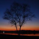 나무와사람들 이미지