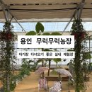 병아리체험농장 민박 | 용인 무럭무럭농장 동물체험 아기랑 방문 후기