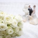 잉꼬결혼 이미지