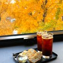 302place세영이_플레이스 | [홍대] 연플레이스 카페 후기☕ 은행나무뷰 미쳤다 (내돈내산)