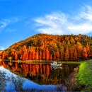 용소웰빙공원 이미지