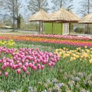 보성정원민박 이미지