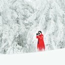 혜:윰 Daum카페