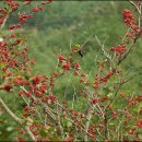 기체육공원 이미지