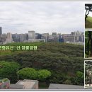 엘나인