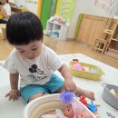보글보글