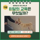 털로덮인친구들 달서점 이미지