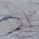 강 나 루 이미지