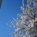 유현 축사 | Chapter. 37