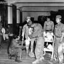 산곡농장 이미지