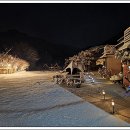 더숲852