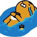 혀니혀니 이미지