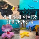 신기산업 거제 | 거제 실내 아이랑 가볼만한곳 4 (조선해양박물관, 버드앤피쉬, 샌디스아일랜드, 씨월드)