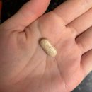 케어나우 | 흡수율 높은 리포좀 비타민C, 나우케어 솔직 후기