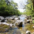 화이트하우스펜션 이미지