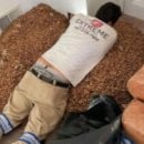 도토리우주선 이미지