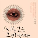 시선끌림