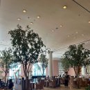 신라탕 | 제주신라호텔 체크인 꿀팁/ 중식후기/전기차무료대여