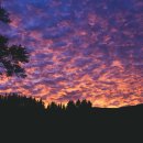 새벽노을 이미지