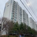 신일가정의원 Daum카페