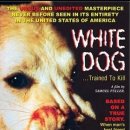 인성 카카오 검색결과