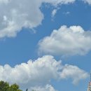 사운즈커피미니 수성구청점 | 여름이었다. 대구 수성구 수성구청 커피맛집 '사운즈커피미니 수성구청점' 카페