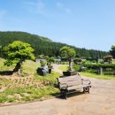 분재공원 화장실 이미지