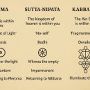 [일반] 백신 맞은 트랜스휴먼들이 예전 같지 않은 이유 이미지