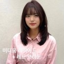 서유헤어 | 용산역 미용실 라리엔 용산점, 브라운 염색 후기