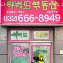 하버드 공인중개사사무소 이미지
