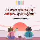 더와이엔제이